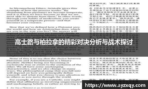 高士路与柏拉拿的精彩对决分析与战术探讨